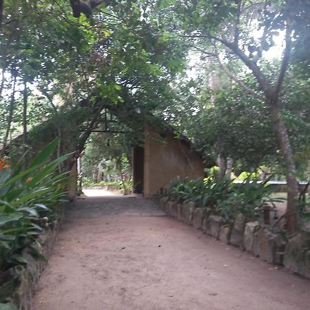 Lake Resort Bolgoda Wadduwa Exterior photo