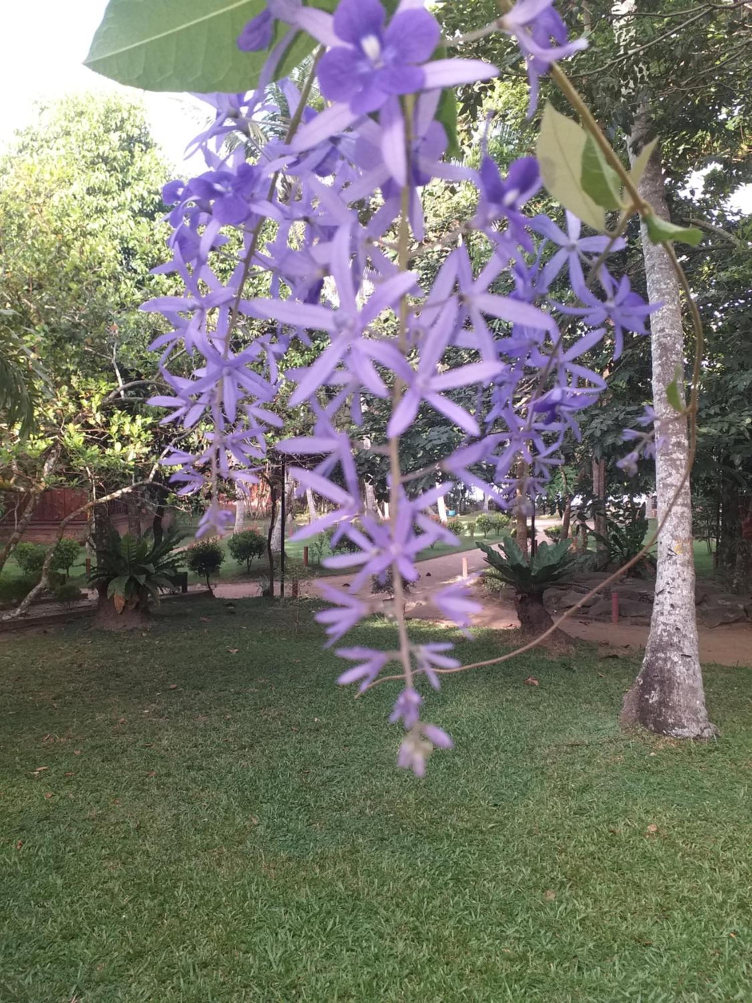 Lake Resort Bolgoda Wadduwa Exterior photo